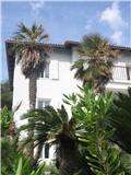 Lošinj